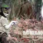 Suburban Wildlife COVER_preview