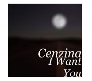 cenzina cvr 800pix