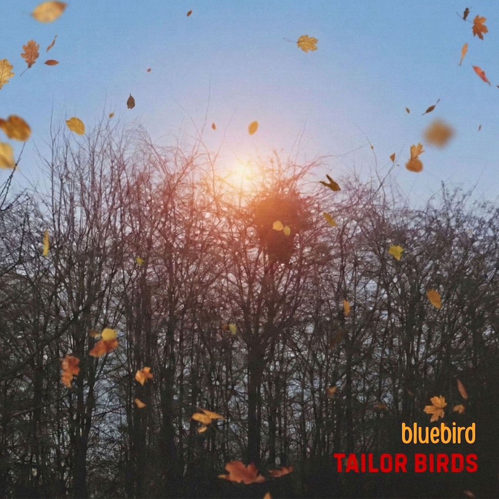 Bluebird single art larger size for Marsh copy