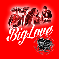 Big Love Cover_red250