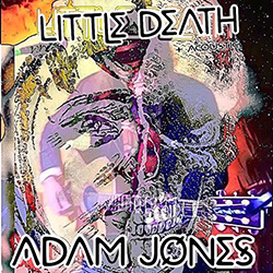 250-Little Death acoustic cover Adam Jones